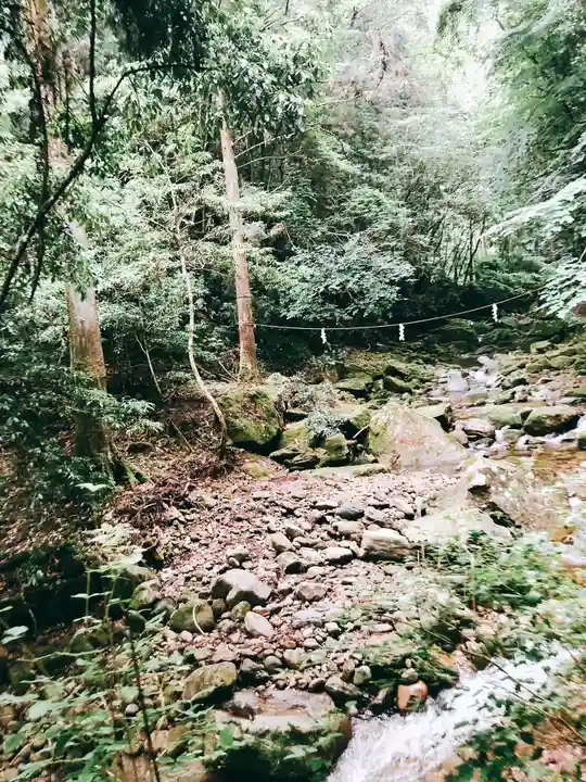 龍鎮神社の自然