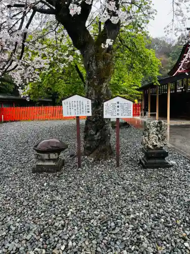 富士山本宮浅間大社の{uncategorized: "未分類", other: "その他", undefined: "問題あり", building: "その他建物", grave: "お墓", sacred_gate: "鳥居", guardian: "狛犬", statue: "像", buddha: "仏像", history: "歴史", nature: "自然", garden: "庭園", animal: "動物", pagoda: "塔", temizu: "手水舎", mountain_gate: "山門・神門", sanctuary: "本殿・本堂", subordinate: "末社・摂社", art: "芸術", scenery: "景色", jizo: "地蔵", ema: "絵馬", goshuin: "御朱印", omikuji: "おみくじ", items: "授与品その他", amulet: "お守り", goshuincho: "御朱印帳", eats: "食事", festival: "お祭り", votive_dance: "神楽", shichigosan: "七五三参", wedding: "結婚式", experience: "体験その他", initially: "初詣", around: "周辺", anti_infection: "感染症対策"}