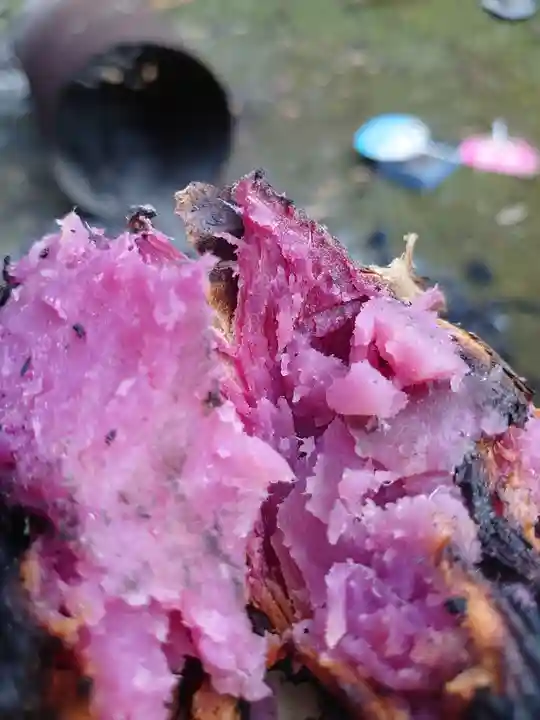 日蓮宗 総本山 塔頭 定林坊(じょうりんぼう)(山梨県)