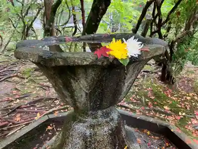 法然院(京都府)