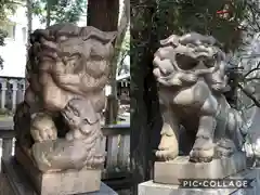 導きの社 熊野町熊野神社(くまくま神社)の狛犬