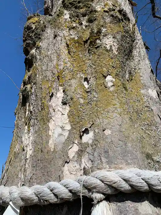 守谷総鎮守 八坂神社(茨城県)