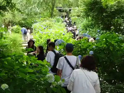 明月院のその他建物