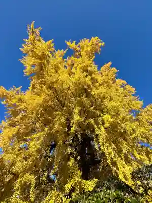 丹生酒殿神社(和歌山県)