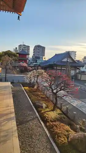 西新井大師総持寺(東京都)