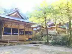 八幡神社（武芸八幡宮）の景色