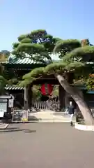 長谷寺(神奈川県)