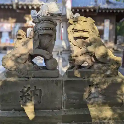 大宮・大原神社の狛犬