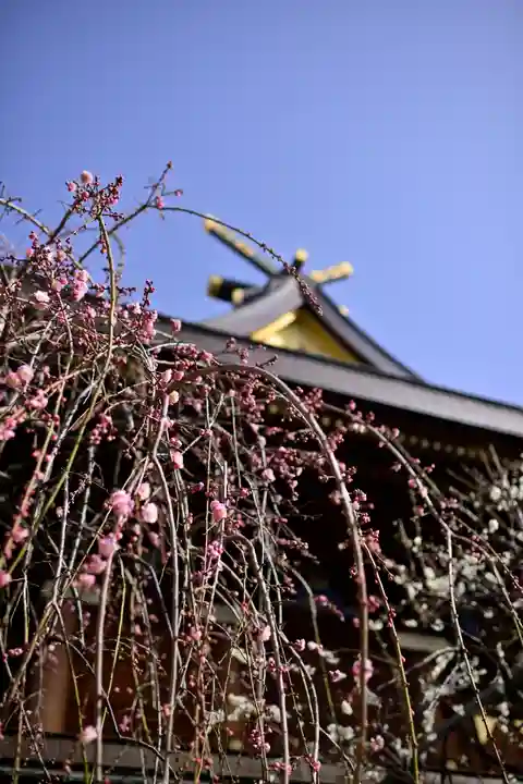 湯島天満宮の景色