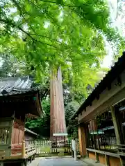 事任八幡宮の自然