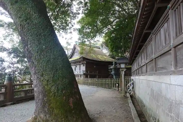 金刀比羅宮(香川県)