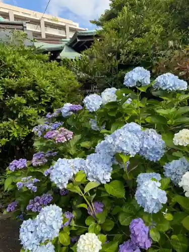 白金氷川神社(東京都)