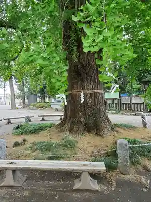 今宮神社のその他建物