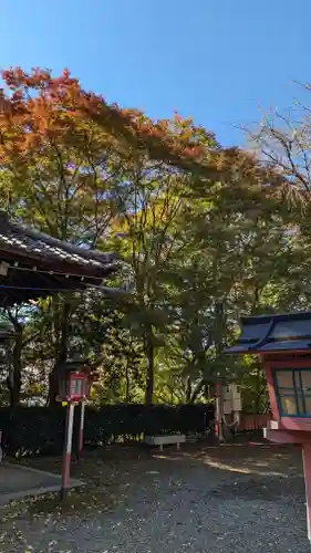 松ヶ崎大黒天 妙圓寺（妙円寺）(京都府)