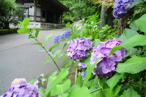 円覚寺(神奈川県)