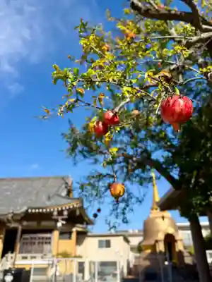 福王山  慈眼寺(東京都)