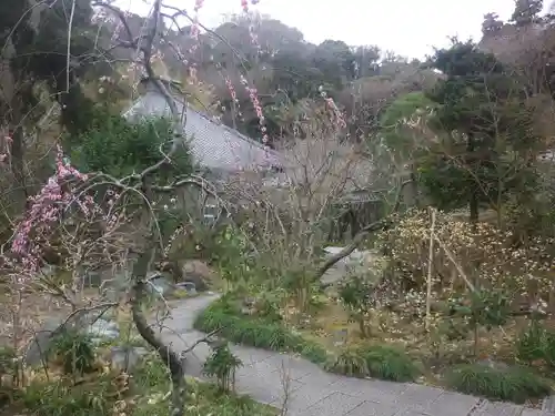 光則寺の庭園