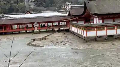 厳島神社(広島県)