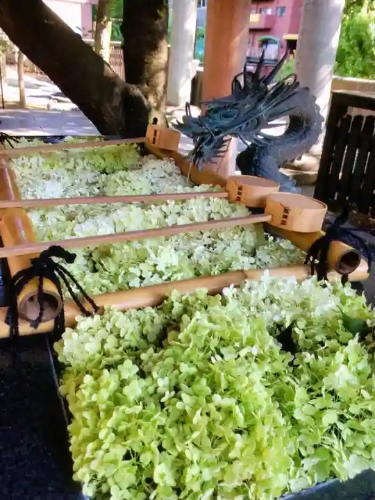 熊野神社(東京都)