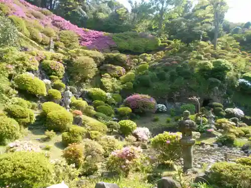 仏行寺（佛行寺）の庭園