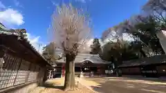 小野住吉神社(兵庫県)