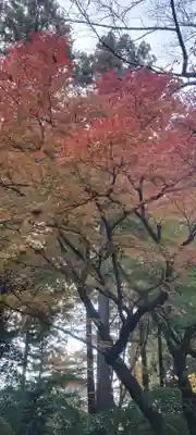 龍潭寺(静岡県)