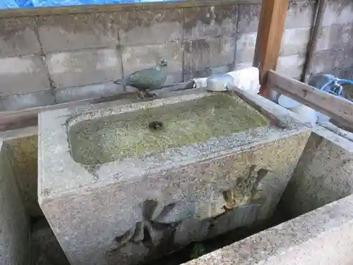 首途八幡宮の手水舎