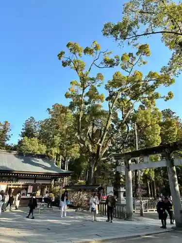 武田神社(山梨県)