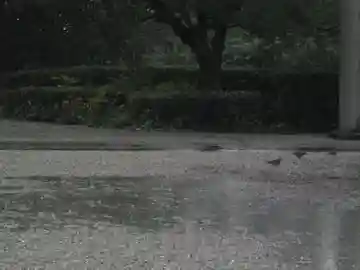 屋久島大社の動物