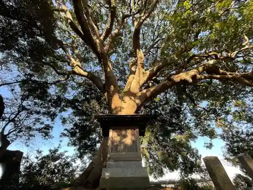 大宮皇神(福岡県)