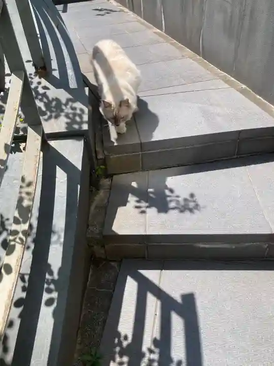 道往寺(東京都)