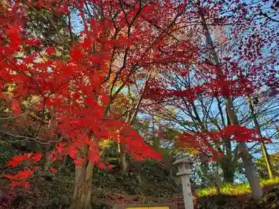 唐澤山神社(栃木県)
