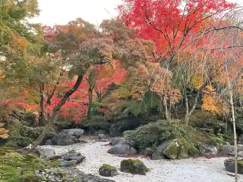 宝筐院(京都府)