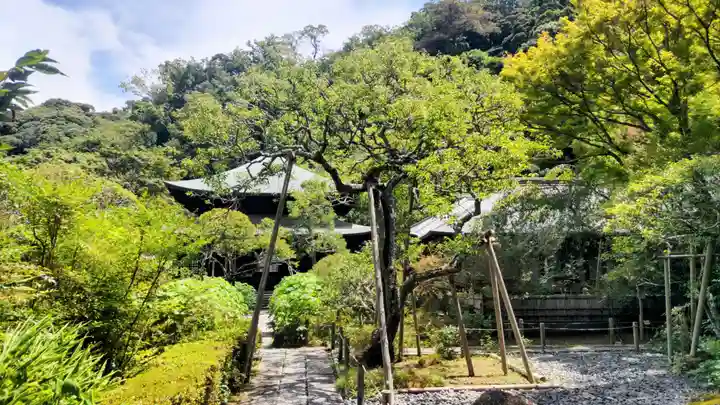 瑞泉寺(神奈川県)