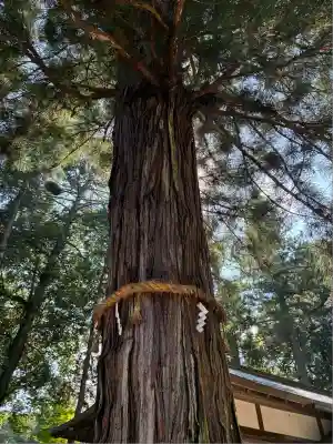 高倉神社(京都府)