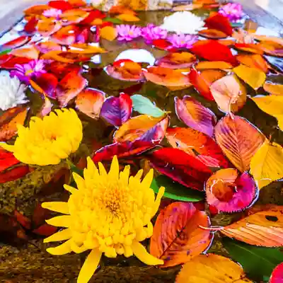 くろ谷 金戒光明寺の手水舎