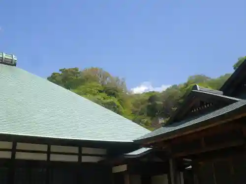 浄妙寺の自然