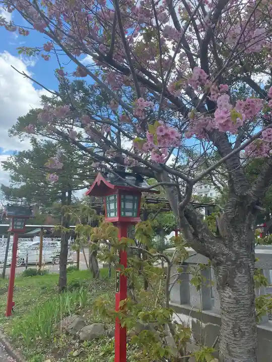 発寒神社の自然