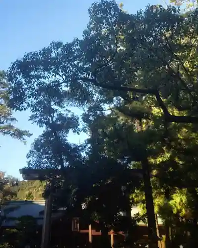 猿田彦神社の建物その他