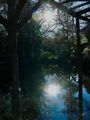 富士山本宮浅間大社(静岡県)