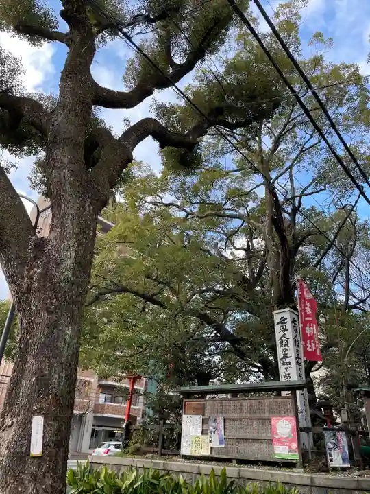 若一神社の自然