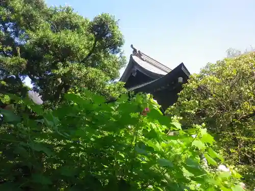 宝戒寺の自然