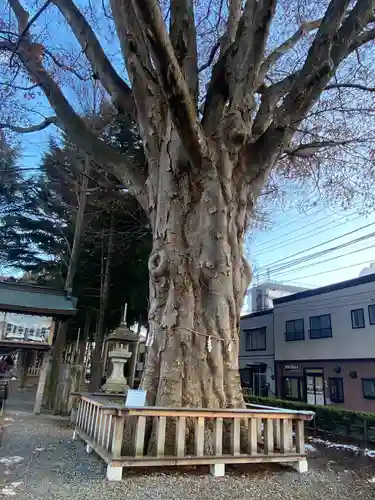 住吉神社(岩手県)