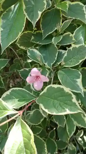 蔵前神社(東京都)