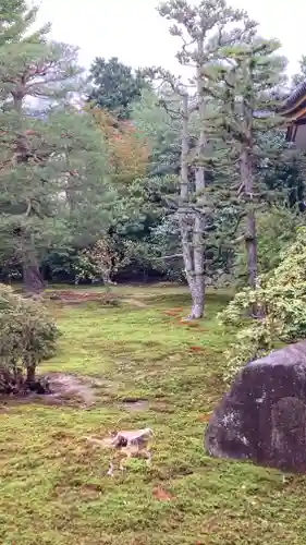 聖護院門跡(京都府)