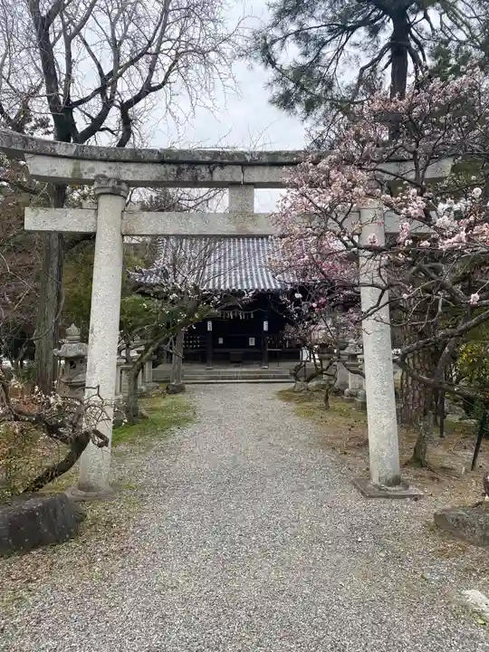 長浜八幡宮の鳥居