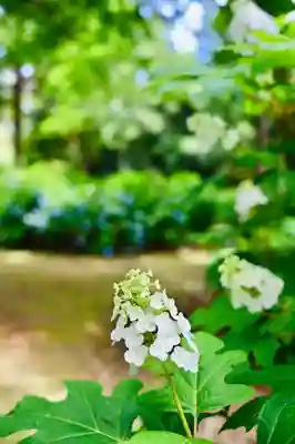 浄土寺(兵庫県)