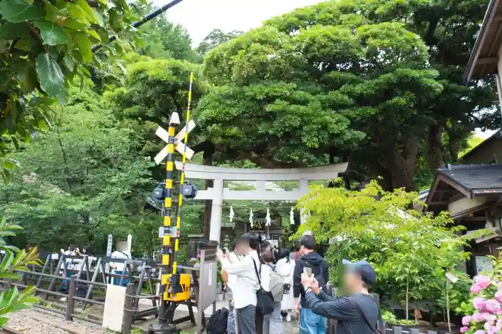 御霊神社(神奈川県)