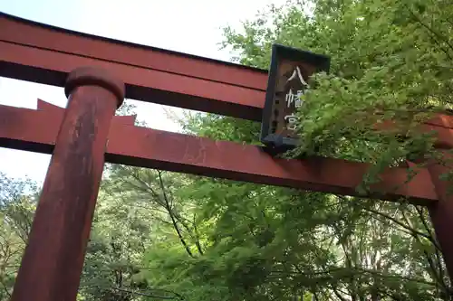 塙田八幡宮の鳥居