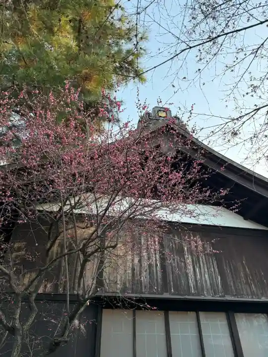 猿田彦神社の{uncategorized: "未分類", other: "その他", undefined: "問題あり", building: "その他建物", grave: "お墓", sacred_gate: "鳥居", guardian: "狛犬", statue: "像", buddha: "仏像", history: "歴史", nature: "自然", garden: "庭園", animal: "動物", pagoda: "塔", temizu: "手水舎", mountain_gate: "山門・神門", sanctuary: "本殿・本堂", subordinate: "末社・摂社", art: "芸術", scenery: "景色", jizo: "地蔵", ema: "絵馬", goshuin: "御朱印", omikuji: "おみくじ", items: "授与品その他", amulet: "お守り", goshuincho: "御朱印帳", eats: "食事", festival: "お祭り", votive_dance: "神楽", shichigosan: "七五三参", wedding: "結婚式", experience: "体験その他", initially: "初詣", around: "周辺", anti_infection: "感染症対策"}